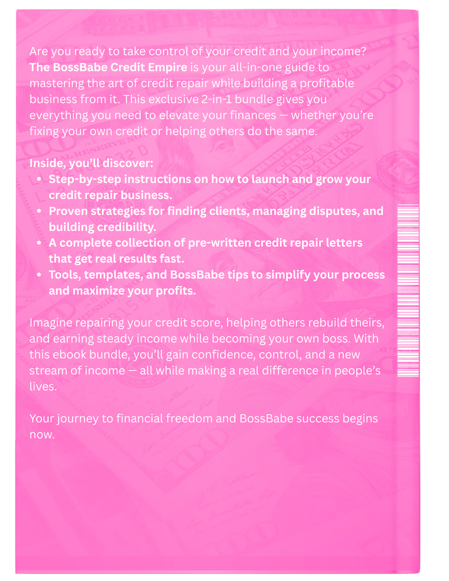 Pink book cover with text about credit repair business guide