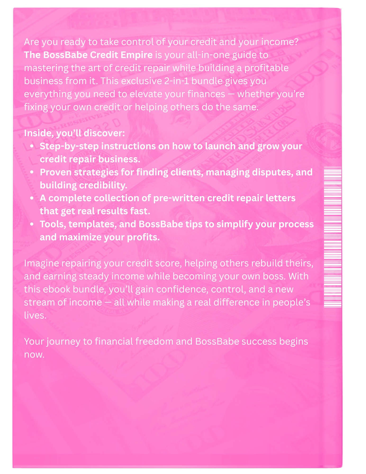 Pink book cover with text about credit repair business guide