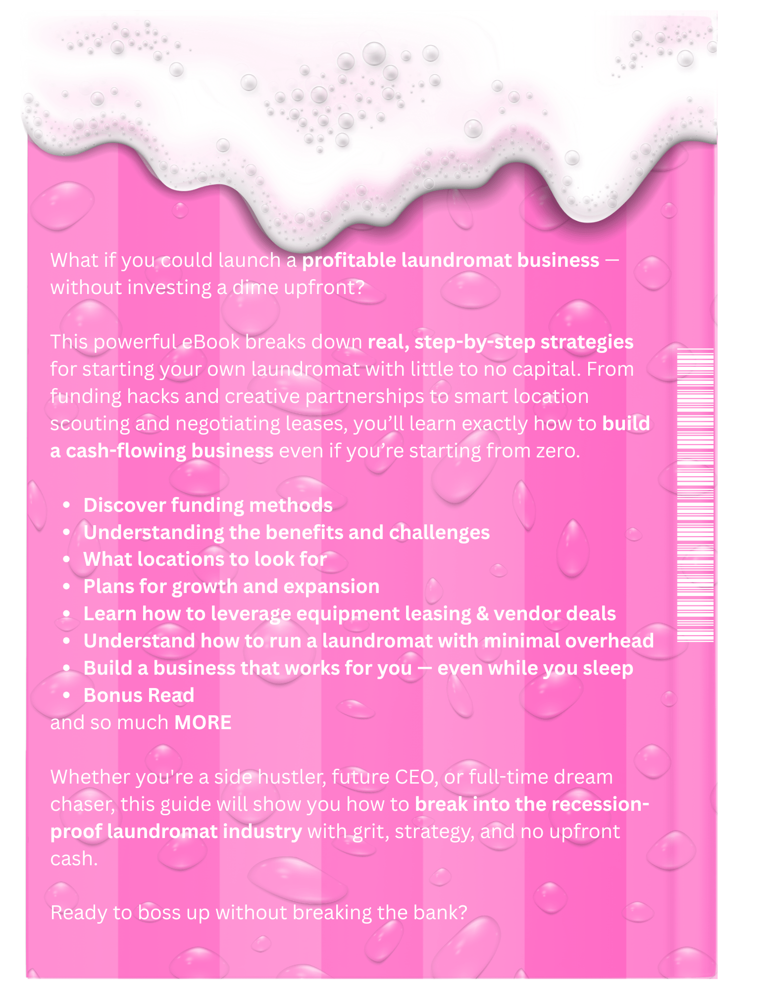 Pink eBook cover with text about launching a laundromat business